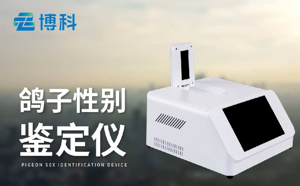 鸽子公母1xbet官网