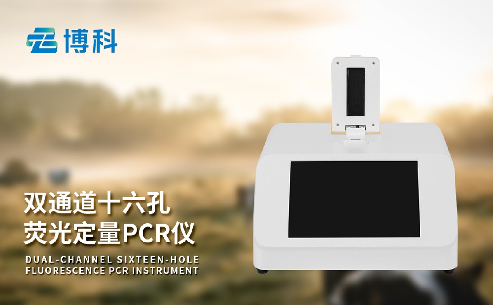 非洲猪瘟1xbet官网