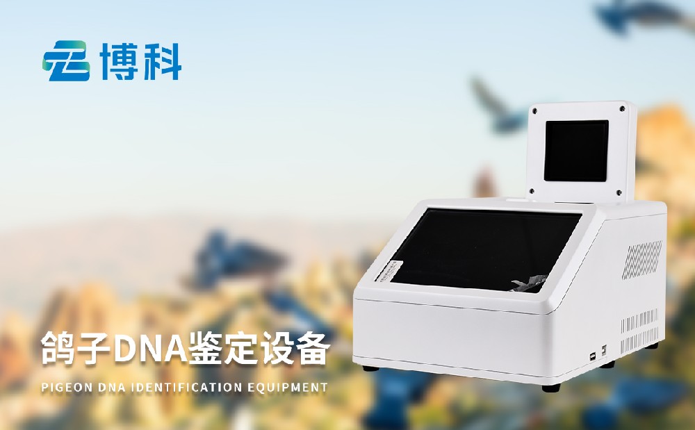 鸽子dna1xbet官网器