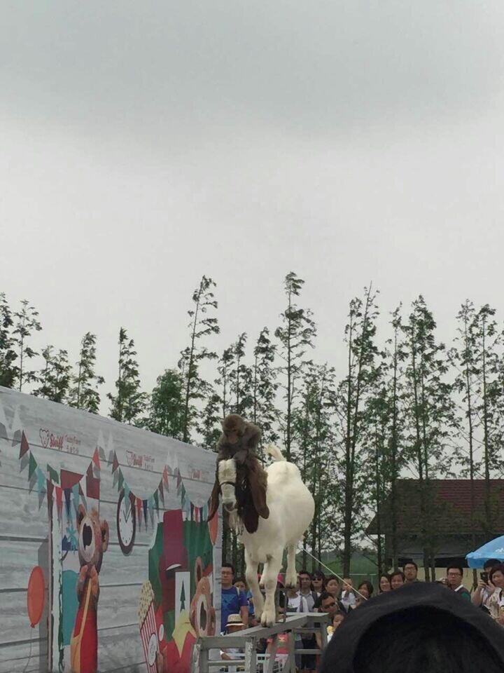 尊龙凯时(中国游)官方网站