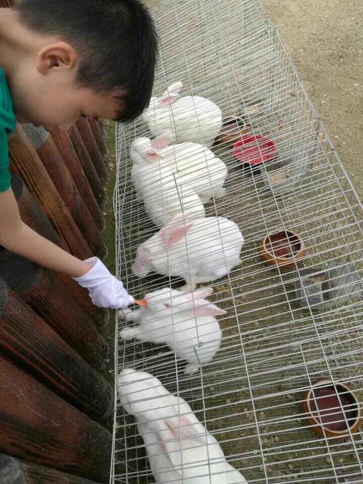 尊龙凯时(中国游)官方网站